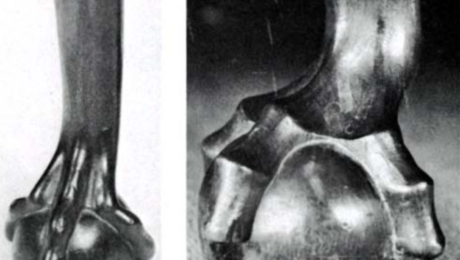 From the Archives: History of the Ball-and-Claw Foot